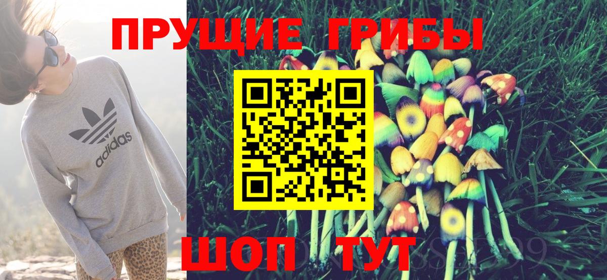 Галлюциногенные грибы Psilocybe  Вход с VPN  Саратов 